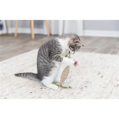 Trixie Rugbybal Karton / Hennep Beige