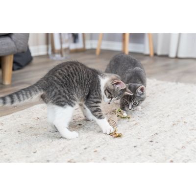 Trixie Rugbybal Karton / Hennep Beige