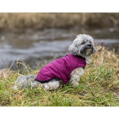 Trixie Hondenjas Arlay Bes