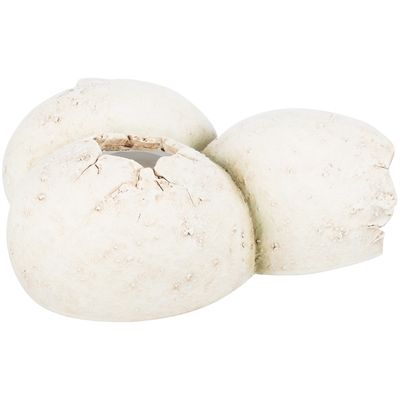 Trixie Reptielenschuilplaats Eieren Polyesterhars Wit