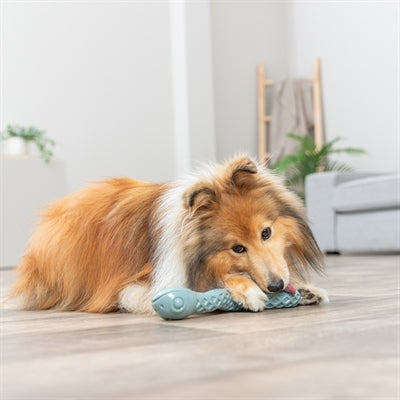 Trixie Tpr Snackslang