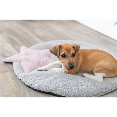 Trixie Puppy Ligmat Ster Grijs / Lila