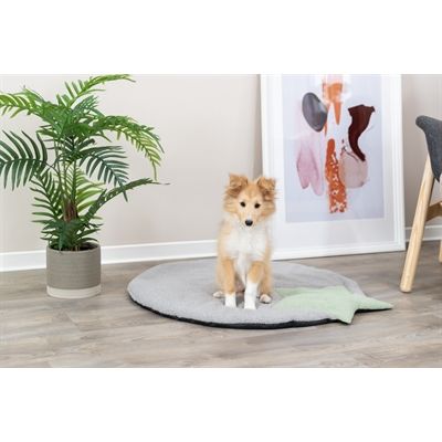 Trixie Puppy Ligmat Ster Grijs / Mintgroen