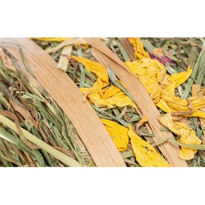 Trixie Hooirol Met Bloesems