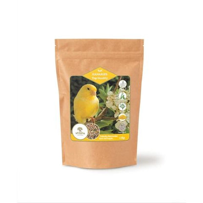 Utopia Kanaries Top Quality