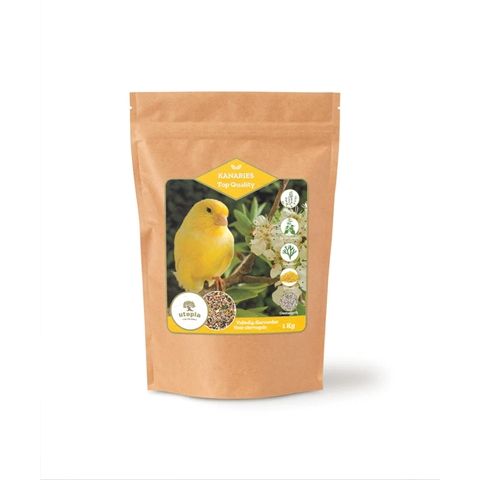 Utopia Kanaries Top Quality