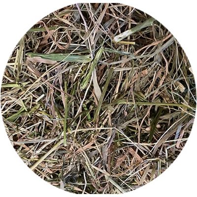 Utopia Timothy Hooi Met Peterselie