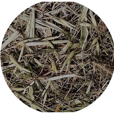 Utopia Timothy Hooi Met Groene Haver