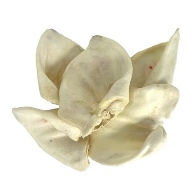 Petsnack Varkensoren Gepoft