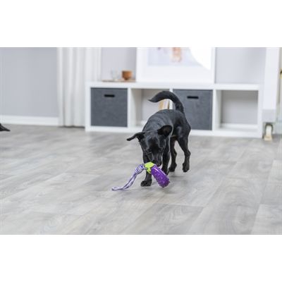 Trixie Hondenspeelgoed Aubergine Aan Koord Tpr