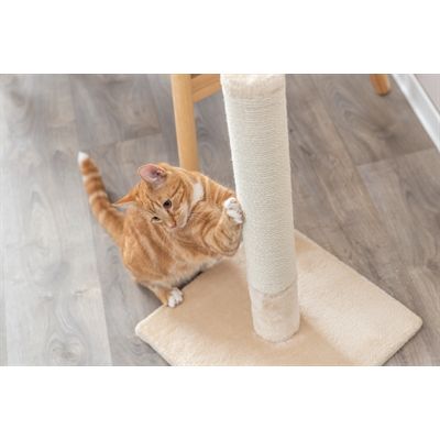 Trixie Krabstam Batres Beige