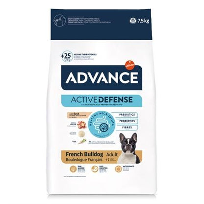 Advance Adult French Bulldog