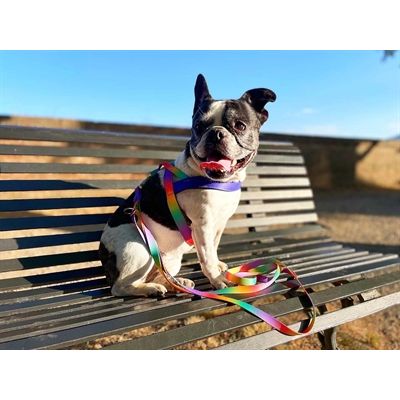 Morso Norwegian Hondentuig Gerecycled Spring Blossom