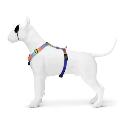 Morso Hondentuig H-Tuig Gerecycled Spring Blossom