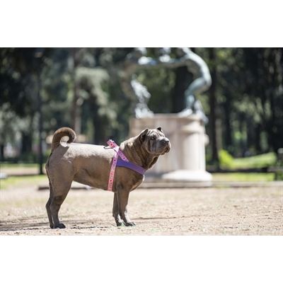 Morso Norwegian Hondentuig Gerecycled Sweet Tweet Roze