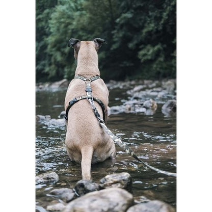 Morso Hondentuig H-Tuig Gerecycled Full Metal Dog Bruin