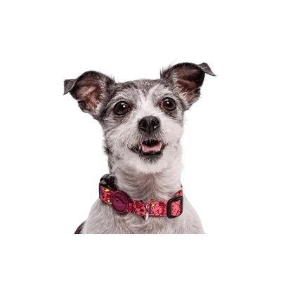 Morso Halsband Hond Gerecycled Pink Think Roze