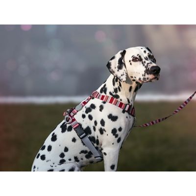 Morso Hondentuig H-Tuig Gerecycled Skyline Rood / Roze