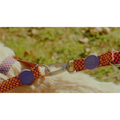 Morso Hondenriem Verstelbaar Gerecycled Urban Lizard Rood