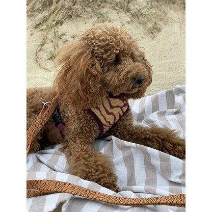 Morso Hondenriem Verstelbaar Gerecycled Jungle Drum Oranje