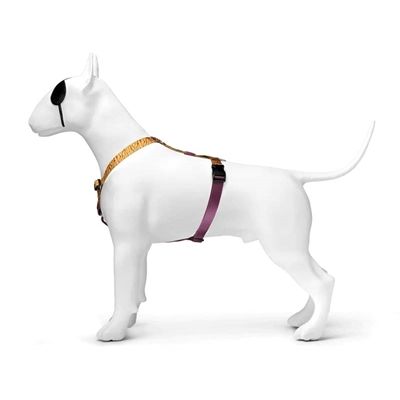 Morso Hondentuig H-Tuig Gerecycled Jungle Drum Oranje