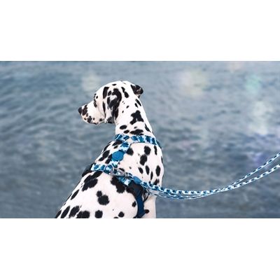 Morso Hondenriem Verstelbaar Gerecycled Splash Blauw