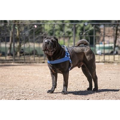 Morso Norwegian Hondentuig Gerecycled Splash Blauw