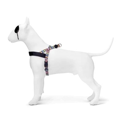 Morso Norwegian Hondentuig Gerecycled Spaghetti Incident