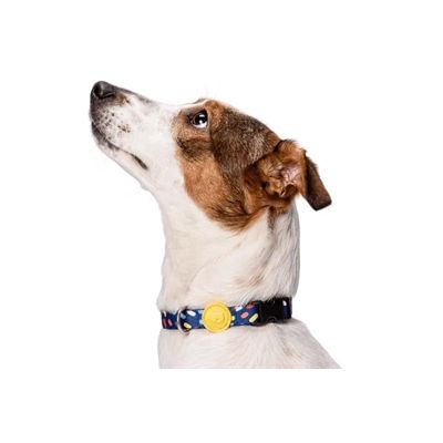 Morso Halsband Hond Gerecycled Color Invaders Paars