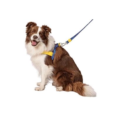 Morso Norwegian Hondentuig Gerecycled Color Invaders Paars