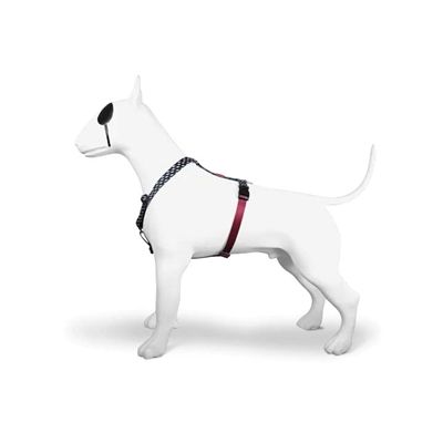 Morso Hondentuig H-Tuig Gerecycled Power Flow Zwart