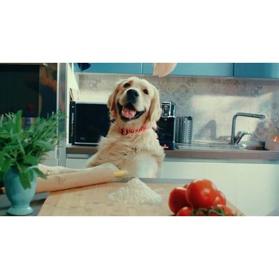 Morso Halsband Hond Gerecycled Bubble Leo Roze