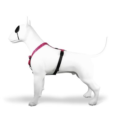 Morso Hondentuig H-Tuig Gerecycled Bubble Leo Roze