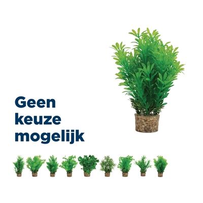 Zolux Ornament Pastic Plant Op Stenen Neutraal Assorti