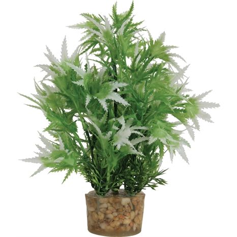 Zolux Ornament Pastic Plant Op Stenen Neutraal Assorti