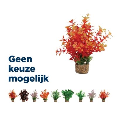 Zolux Ornament Pastic Plant Op Stenen Vrolijk Assorti