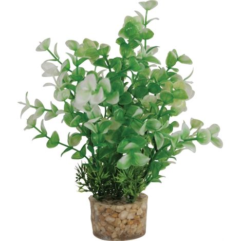 Zolux Ornament Pastic Plant Op Stenen Vrolijk Assorti