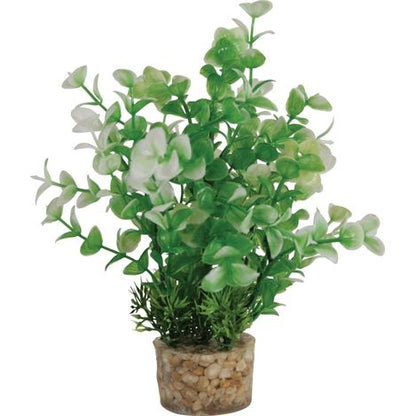 Zolux Ornament Pastic Plant Op Stenen Vrolijk Assorti