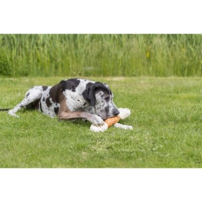 Trixie Dentafun Chicken Chewbot