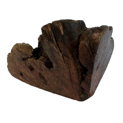 Dog Woodzzz Kauwwortel Met Olijfolie