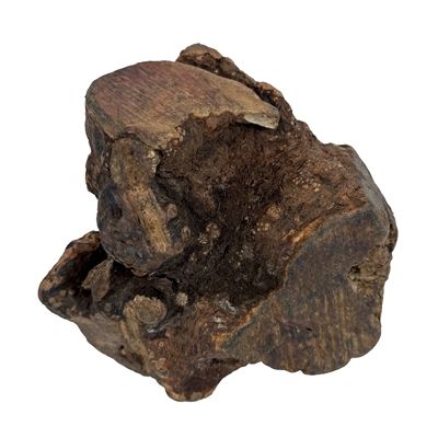 Dog Woodzzz Kauwwortel Met Olijfolie