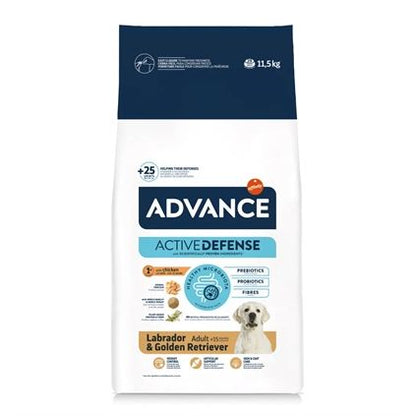 Advance Adult Labrador Retriever