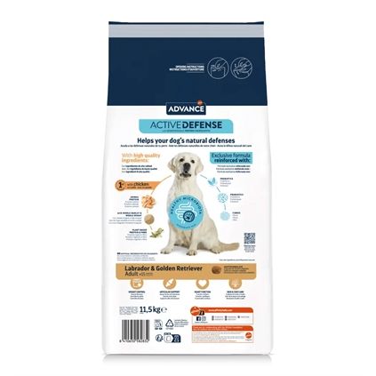 Advance Adult Labrador Retriever