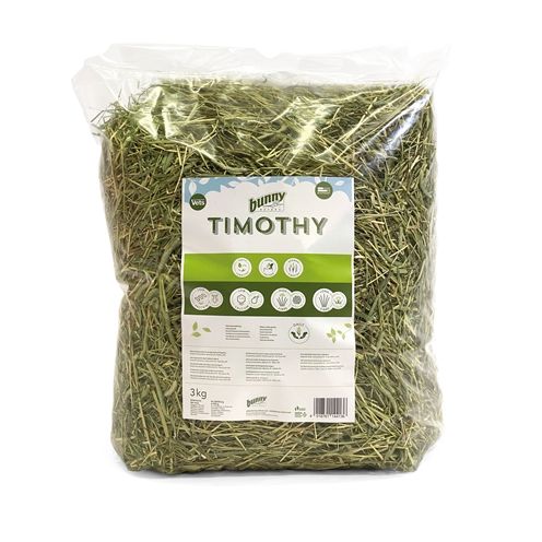 Bunny Nature Timothy Hooi