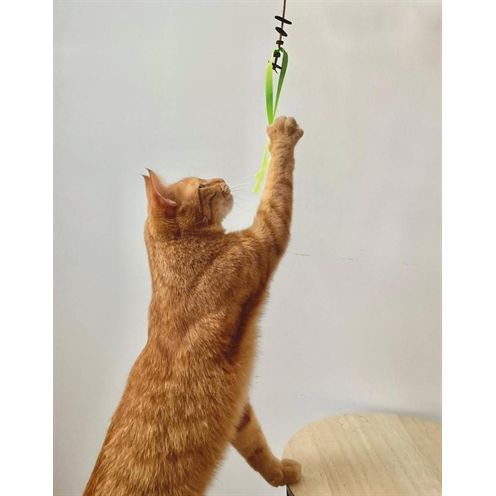 Martin Kattenspeelgoed Jason Gerecycled Assorti