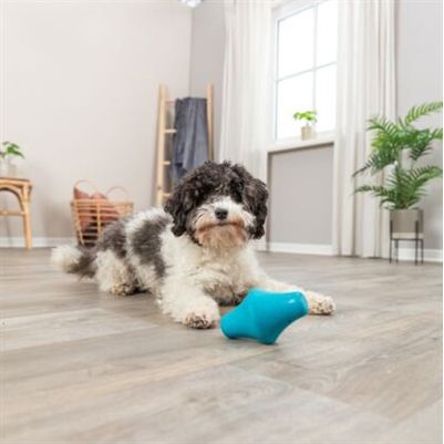 Trixie Snacktol Natuurrubber Petrol