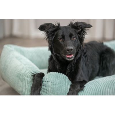 Trixie Hondenmand Vital Jonna Ribfluweel Saliegroen