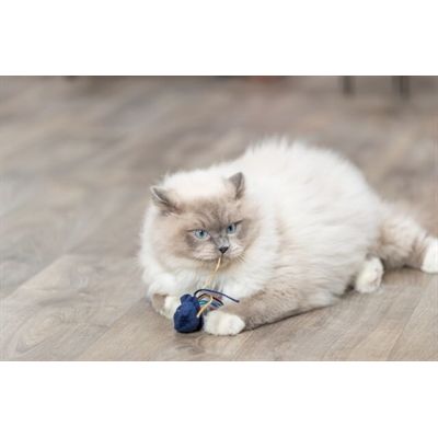 Trixie Zeedier Pluche Met Catnip Assorti