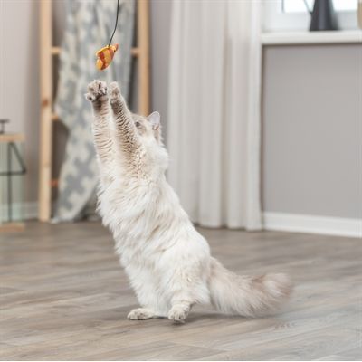Trixie Kattenhengel Vis Kunststof / Pluche
