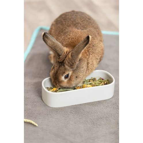 Trixie Voerbak / Drinkbak Ovaal Keramiek Assorti